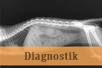 Diagnostik